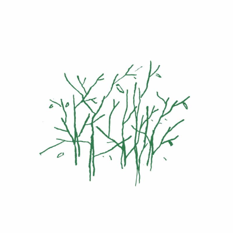 손탁커피,겨울숲 블렌드 갓볶은 커피원두 200g, 500g, 1kg