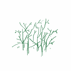 겨울숲 블렌드 갓볶은 커피원두 200g, 500g, 1kg